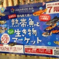 あきらです。