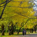 里山里海だより