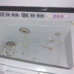 日常にこんにちは。