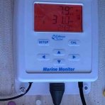 リ楽ックスして海水魚