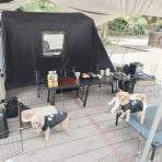 元保護犬 マルチーズとトイプードルの記録♪
