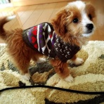 おさか歯科スタッフブログ