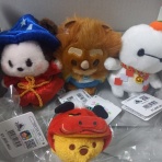 ときどきお泊まりディズニー。都内から。。。