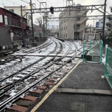 『雪の江ノ電でカンテラ観察』の画像