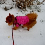 毎日が日曜　晴耕雨読な日々