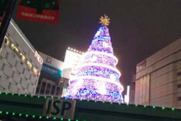 にこにこくんの のんびり日記 クリスマス