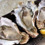 「全国イイ味ハマル味」