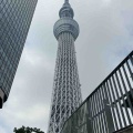 母娘東京日帰り旅行 2026夏①