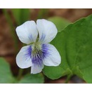 2025年12月3日の出来事