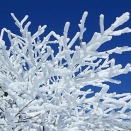 1/27 本日の結果＆オーバーナイトセクション