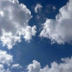 おひとりさま→高齢シンママの徒然