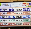 【悲報】マスゴミ「脈なしの異性に告白するのは “コクハラ” というハラスメントです。」