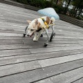 穏やかな１日
