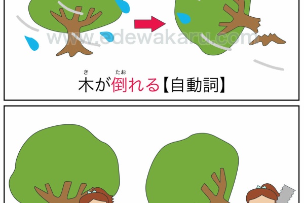 絵でわかる日本語 自動詞 他動詞 中級レベル