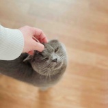『人懐こい颯（そう）ちゃん』の画像