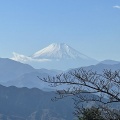 高尾山登山