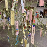 七夕飾りの願い事（金華公民館）