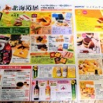 大きいマルチーズ☆ニノさん。