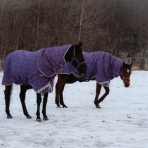 グランデラバーの会