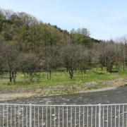 2025.05 ��� ζ��ƶ1 �����Ȥα���