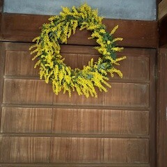 ミモザ日和③。