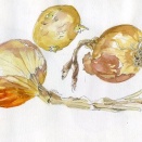 玉ねぎとジャガイモ