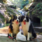 ひろいびと 清掃登山犬達と三重県の山ゴミ拾い清掃活動記録