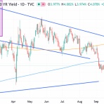村越誠の投資資本主義