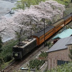 ＤＤパラダイスプレゼンツ Ｄ-ＲＨＡＰＳＯＤＹ☆