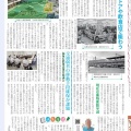 ふるさとアサヒ 31号