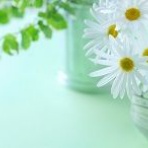 婚活サポートmiraiのBlog 「結婚への近道」