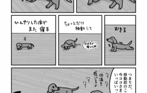 暑い日の過ごし方