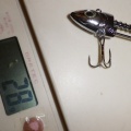 ダイソーの220円のジグヘッド初購入