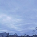 ふにゃっとしたん何？これ！