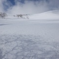 あっという間に過ぎ去った3月