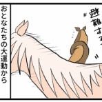 今日もうちのウマコが騒いでる