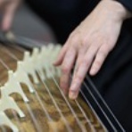 箏・十七絃　演奏者　 ☆　MAKI ISOGAI　☆