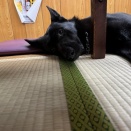 夏お疲れ様でした！！