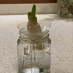 暇人、時々ひるがの高原へ行く！