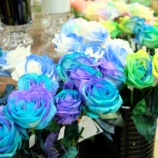 �ؤ���ä��Ѥ�ä��Х餿�����Х�ե����ˤơ٤β���