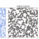 シリーズ・土と水と構造の力学【第2回】Pythonで再現！デジタル川底の「アーマー化」シミュレーション