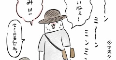 夏ですね