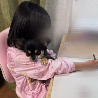 日々のくらし手帖