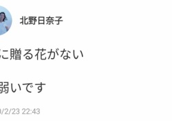 【乃木坂46】北野日奈子「君に贈る花がない　に弱いです」エモすぎる・・・