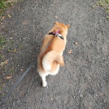 『すず散歩🐾』の画像