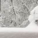 「酸ヶ湯温泉」その１（青森県青森市）