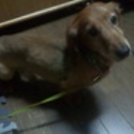 ★KIYOTAMALAND BLOG★