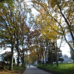 ランドナーといつまでもbyパジャマ雄三