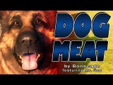 Fallout4 - Dogmeat Song