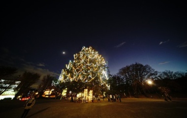 『新製品：LAOWA９mmF5.6の試写～クリスマスツリー・月・火星・木星・土星　2020/11/30』の画像